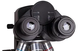 Основное преимущество световой микроскопии перед электронной