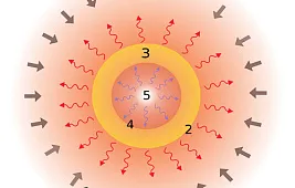 Стадия протозвезды