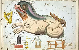 Звезды в созвездии Кита