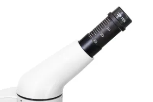 Микроскоп Levenhuk Rainbow 50L PLUS, изображение 12