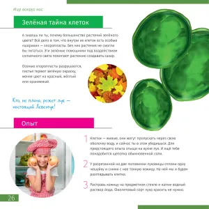 Микроскоп Levenhuk Discovery Centi 01 с книгой, изображение 5