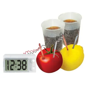 Набор 4M 00-03411 «Водные часы», изображение 6